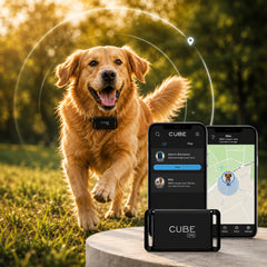 Dog Tracker