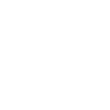 alert icon