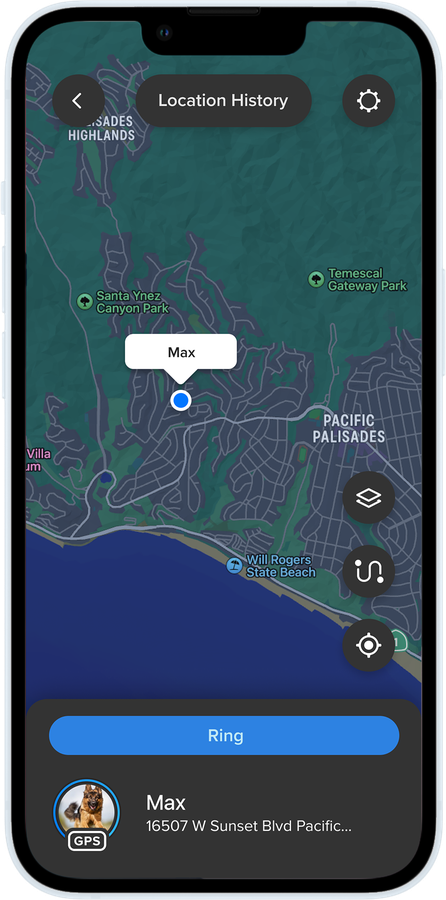 Cube Tracker app showing Location History map view with pin for dog's location